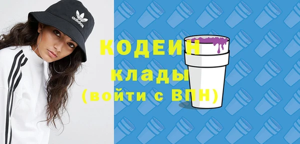 амф Горняк