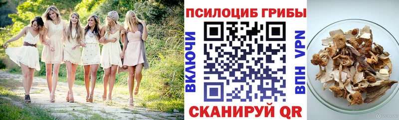 Псилоцибиновые грибы GOLDEN TEACHER  где можно купить   Улан-Удэ 